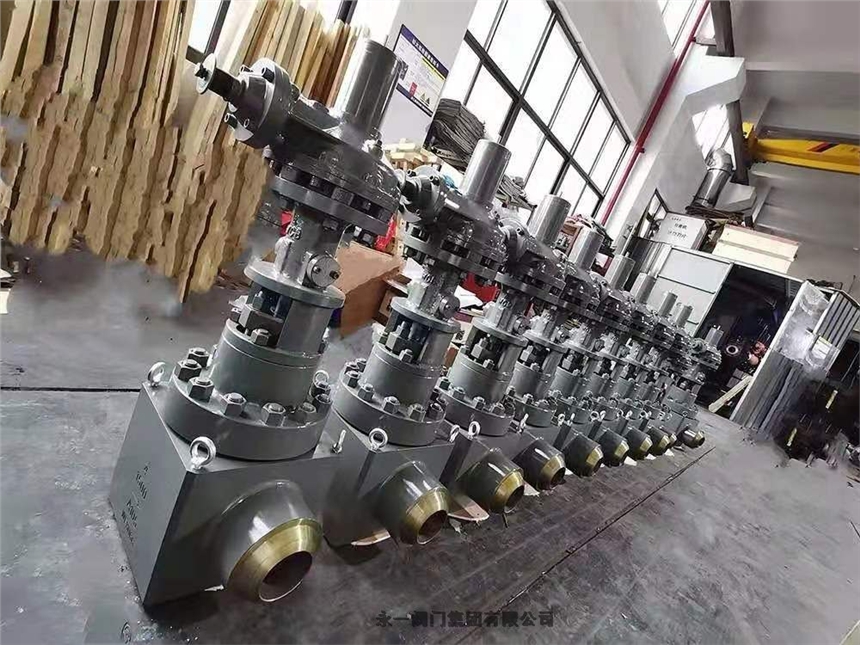 中國(guó)永一閥門集團(tuán)波紋管安全閥 WA42Y-25C昭陽(yáng)市