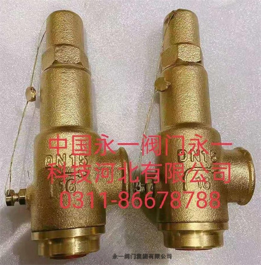 中國永一閥門集團(tuán)替代德國萊斯先導(dǎo)式安全閥請看