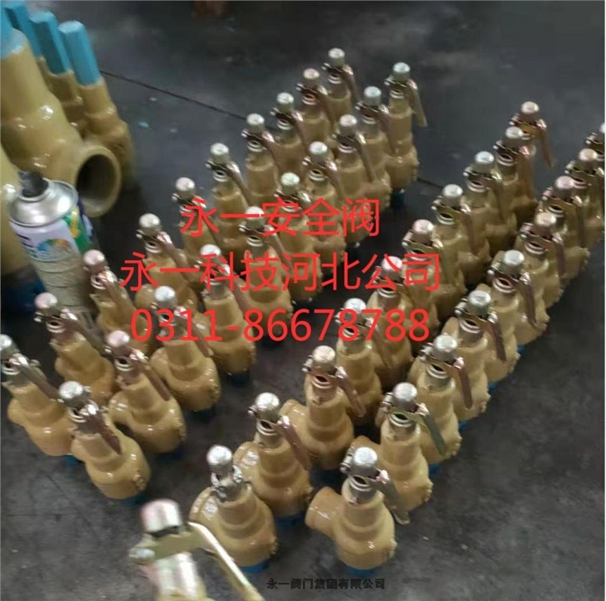 中國永一閥門集團(tuán)先導(dǎo)式安全閥A46F-25CDN50昭陽市