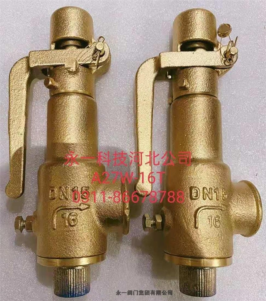 中國永一閥門集團(tuán)先導(dǎo)式安全閥A46F-25CDN50漢中市